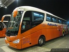 » Pullman Bus Costa Central | N° 455