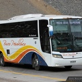 » Buses Peñablanca