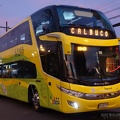 » Buses Tepual