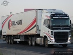 ► Brilhante Transportes (BRA)