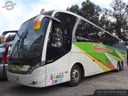 ► Neobus New Road N10 380