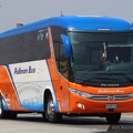 » Pullman Bus Costa Central | N°  340