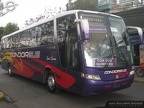 » Condor Bus | N° 236