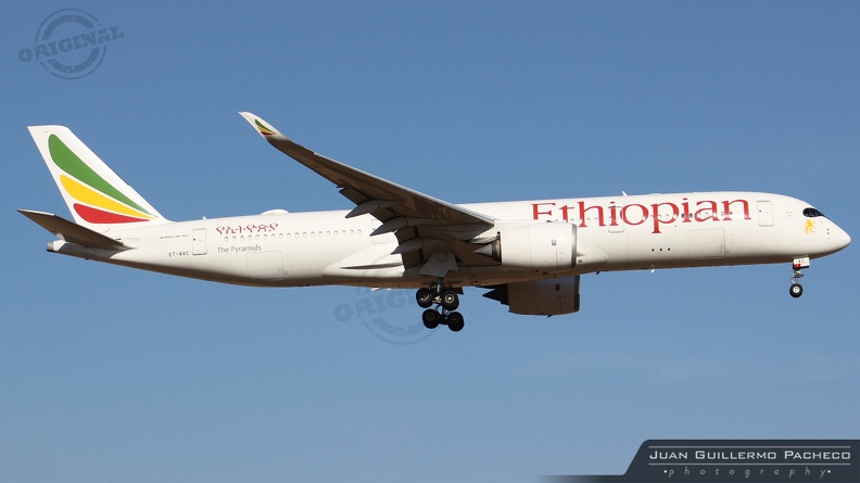 ► Model: Airbus A350-941
► Airline: Etiophian Airlines
► Reg: ET-AVC
► MSN: 196
► Foto: Juan Guillermo Pacheco S ®
► Santiago de Chile Arturo Merino Benítez Int'l - (SCEL). Chile ET-AVC.jpg