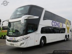 » Condor Bus | N° 2664