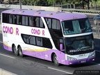 » Condor Bus | N° 2511